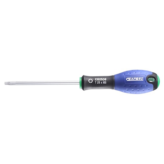 Facom E160503 Torx screwdriver with blue and black ergonomic handle, side view on white background.