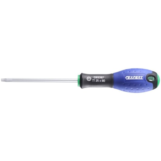 Facom E165395 Torx screwdriver with blue and black ergonomic handle, side view on white background.