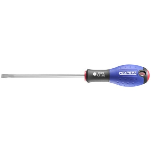 Facom E165481 flathead screwdriver with blue and black handle, straight blade, product photo on white background.