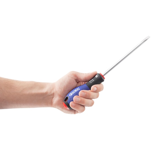 Facom E165481 screwdriver with blue and black handle held in right hand, side view, white background.