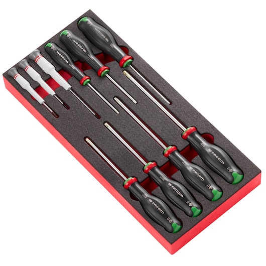 10 PROTWIST® RESISTORX® Screwdriver in Foam Module, Small 1/3"